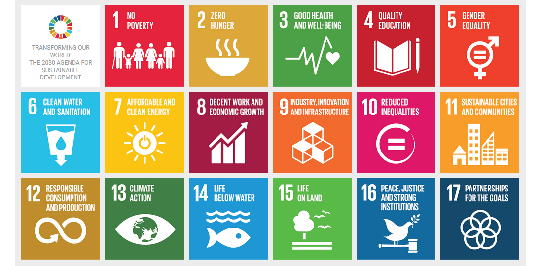 What Sustainability Development Goals Mean for Businesses